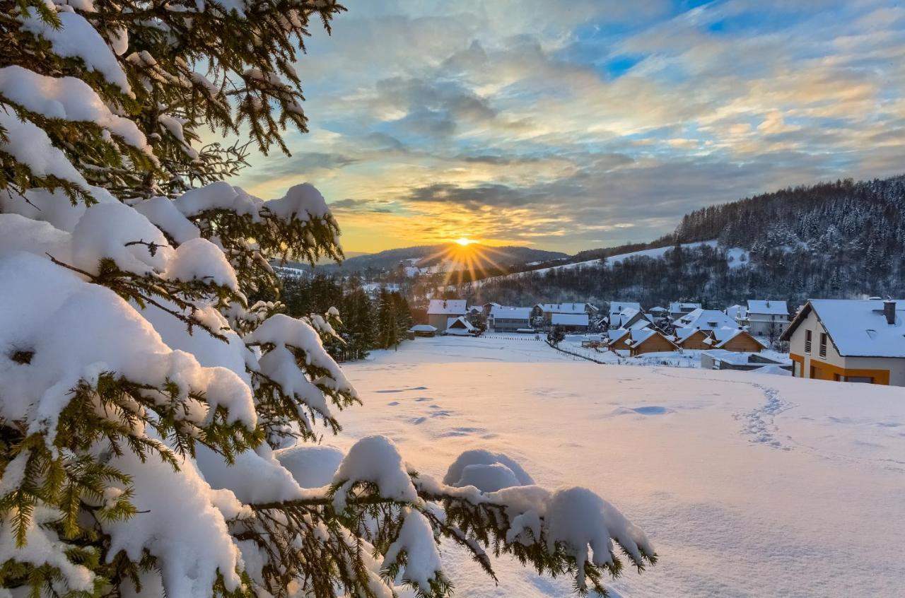 Domki Bajeczny Lan Tylicz ภายนอก รูปภาพ